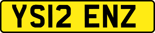 YS12ENZ