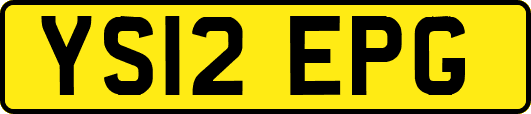 YS12EPG