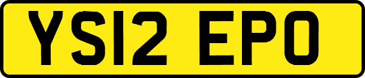 YS12EPO
