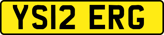 YS12ERG
