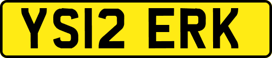 YS12ERK