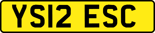YS12ESC