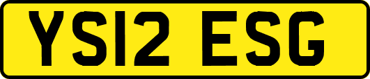 YS12ESG