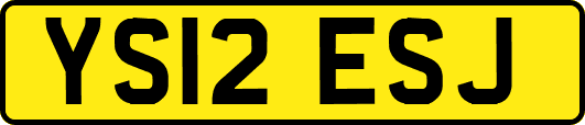 YS12ESJ