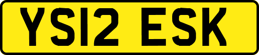 YS12ESK