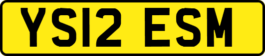 YS12ESM