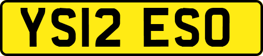 YS12ESO