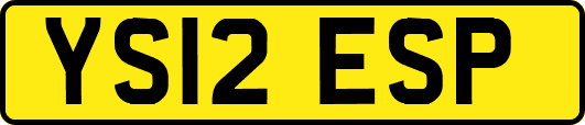 YS12ESP