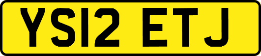 YS12ETJ