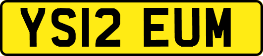 YS12EUM