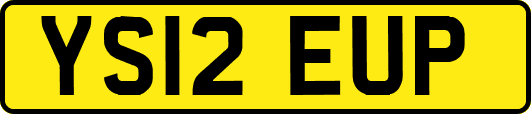 YS12EUP