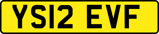 YS12EVF