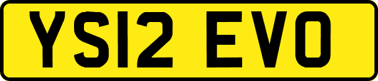 YS12EVO