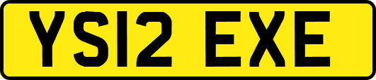 YS12EXE
