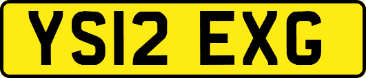 YS12EXG