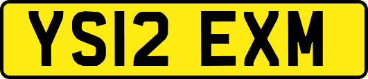 YS12EXM