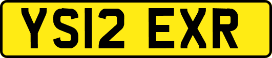 YS12EXR