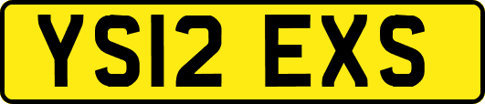 YS12EXS