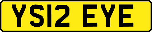 YS12EYE