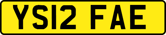 YS12FAE