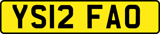 YS12FAO
