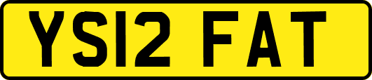 YS12FAT