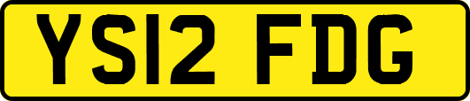 YS12FDG