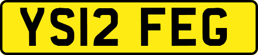 YS12FEG