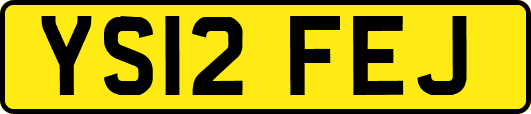 YS12FEJ