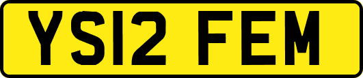 YS12FEM