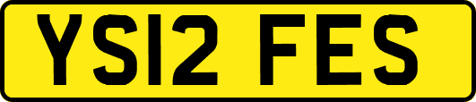 YS12FES