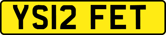 YS12FET