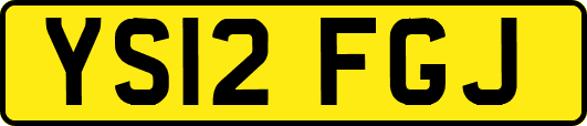 YS12FGJ
