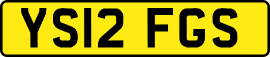 YS12FGS