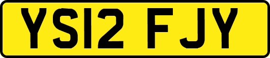 YS12FJY