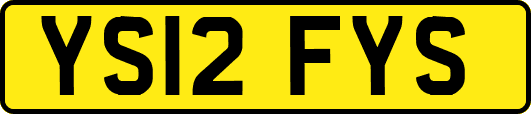 YS12FYS