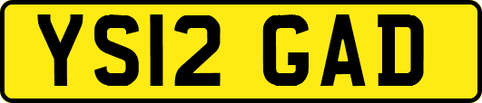 YS12GAD