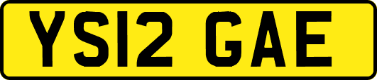 YS12GAE