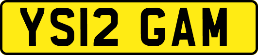 YS12GAM