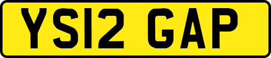 YS12GAP