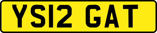 YS12GAT