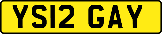 YS12GAY