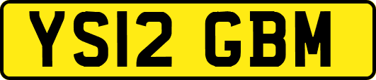 YS12GBM