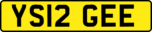 YS12GEE
