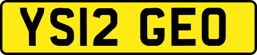 YS12GEO
