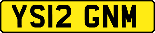 YS12GNM