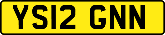 YS12GNN