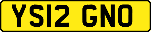 YS12GNO