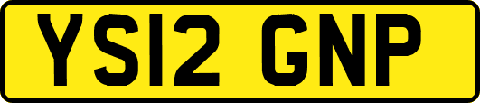 YS12GNP