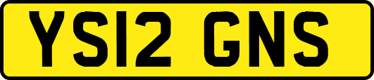 YS12GNS